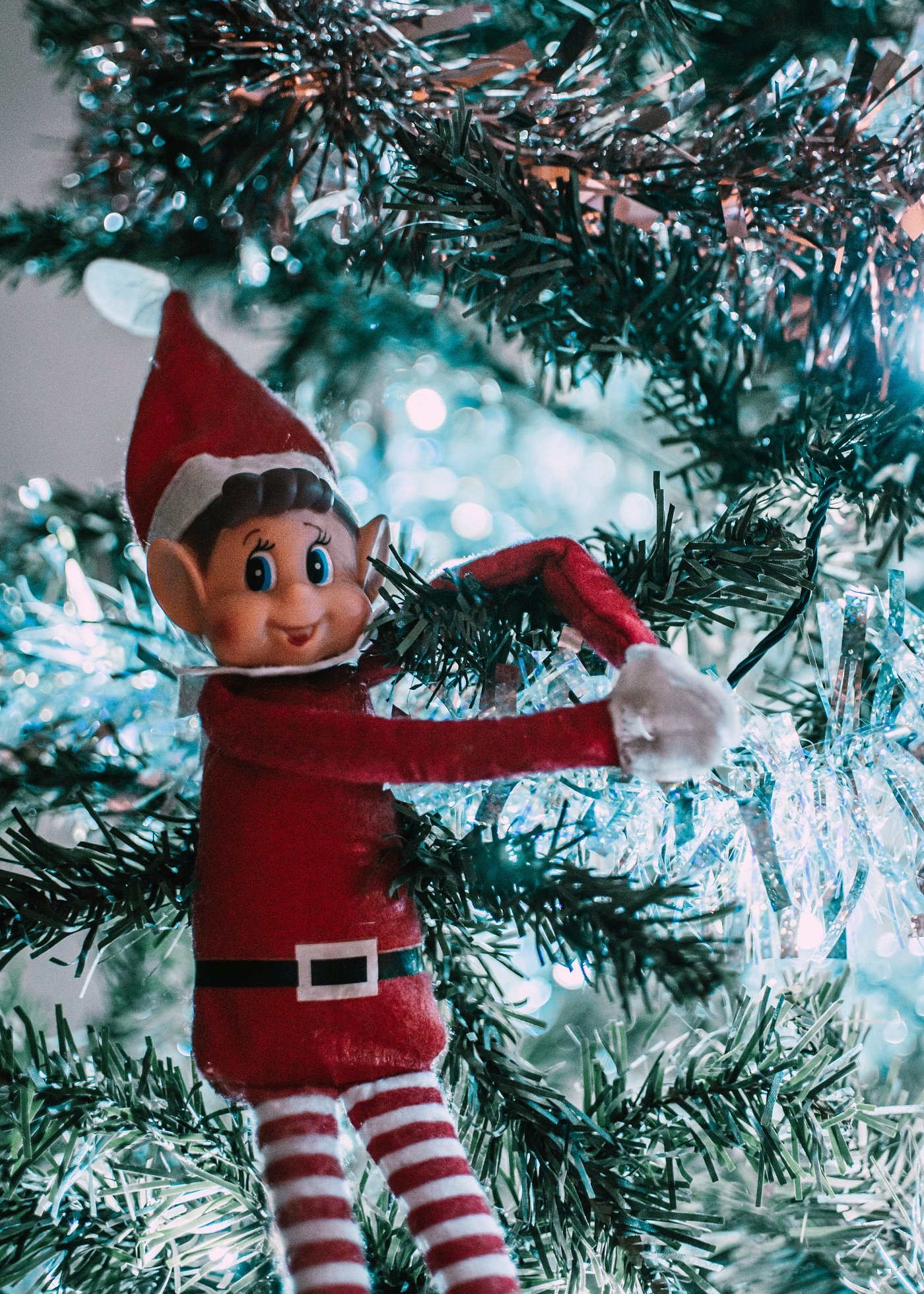 Weihnachtstradition Elf on the Shelf